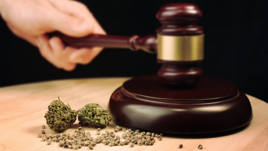 Media item displaying Decision Blocks Ch. 13 Bankruptcy for Cannabis Business Employee