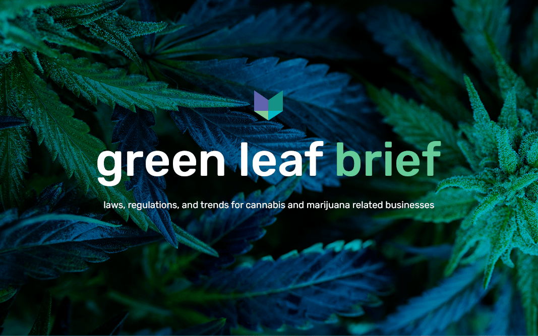 McGlinchey Launches “Green Leaf Brief” Cannabis Blog