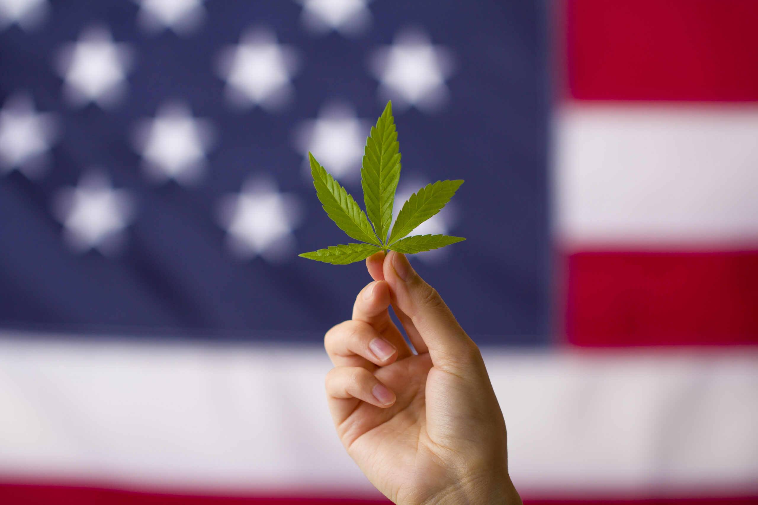 From Schedule I to Schedule III: Potential Shift in Marijuana’s Legal Status