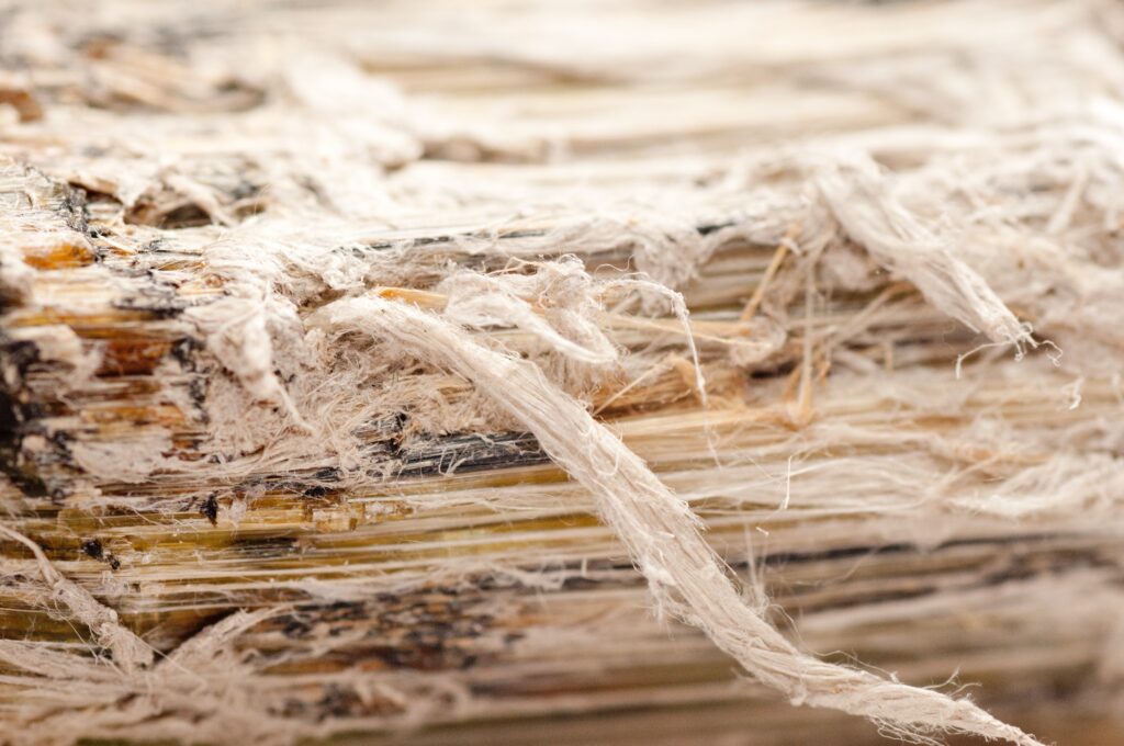 Media item displaying New EPA Ban of Chrysotile Asbestos Prompts Petitions for Review to be Decided by U.S. Fifth Circuit in New Orleans