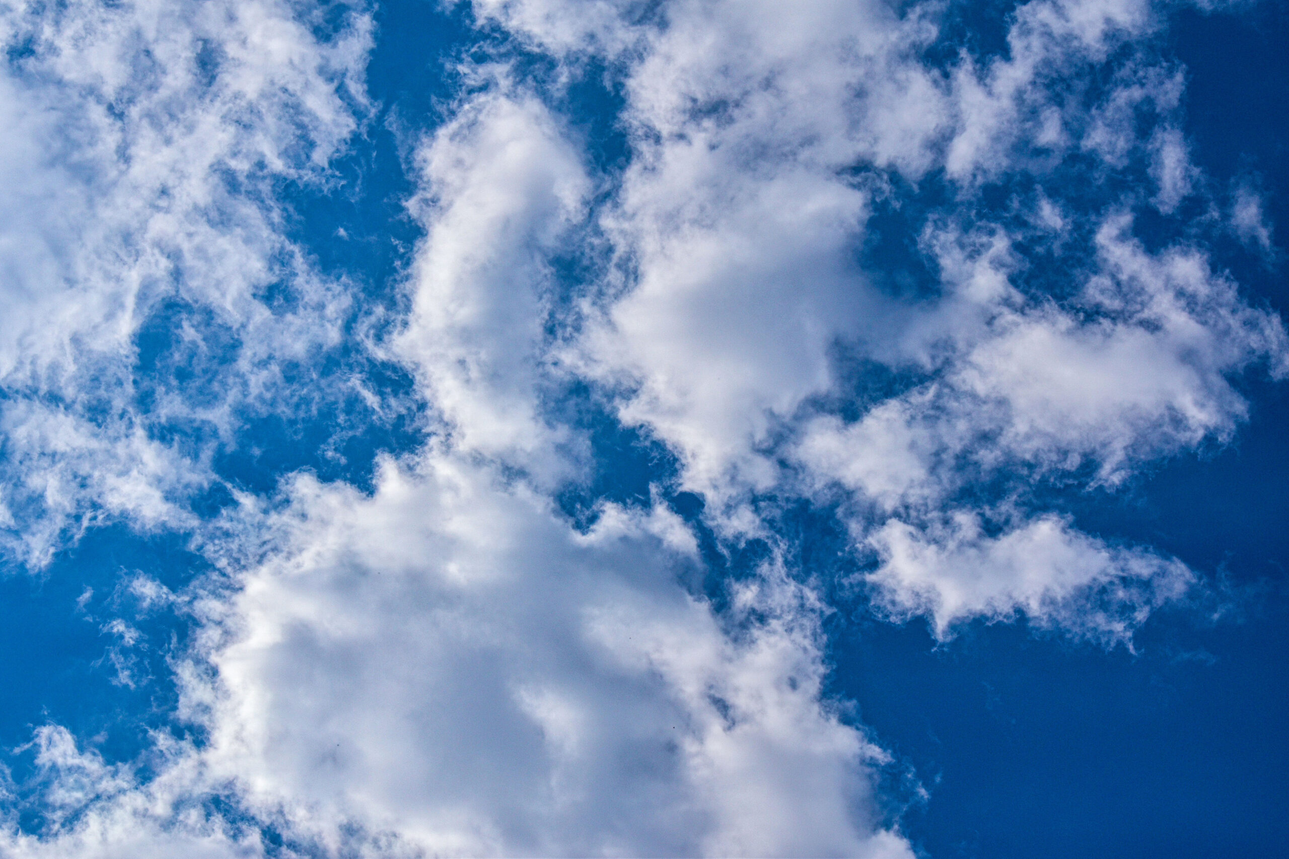 Media item displaying SCOTUS: Choose the Right Venue in Clean Air Act Issues