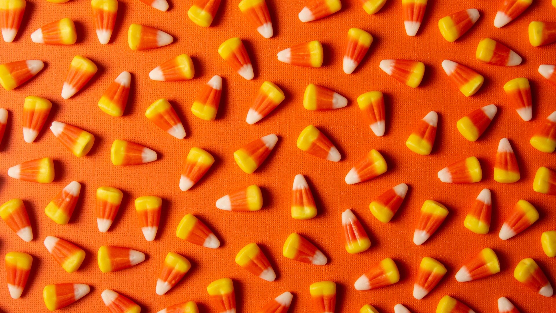 Media item displaying Litigation Byte (September/October 2025 Edition)